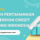 Fitch Pertahankan Sovereign Credit Rating Indonesia pada BBB dengan Outlook Stabil