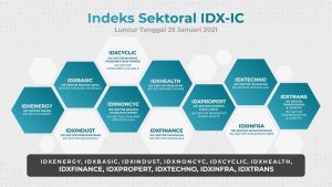 12 Sektor IDX-IC